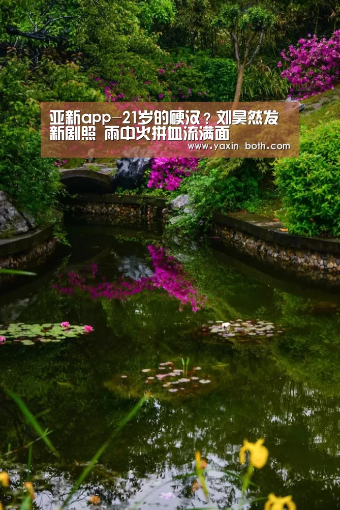 亚新网站