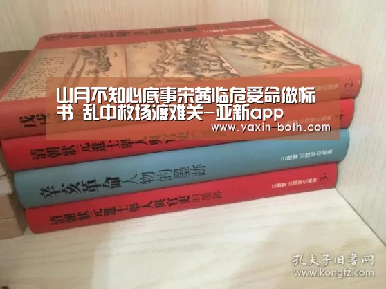 山月不知心底事宋茜临危受命做标书 乱中救